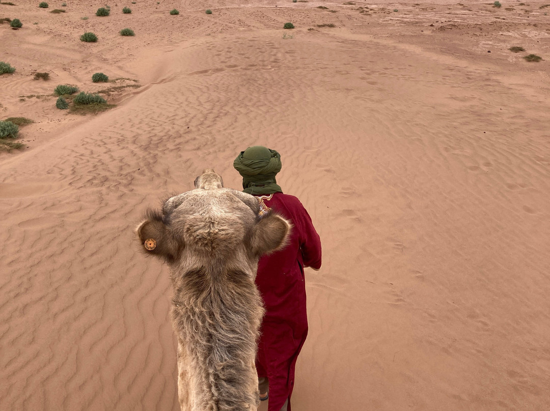 Chegaga spirit-迈哈米德必去景点