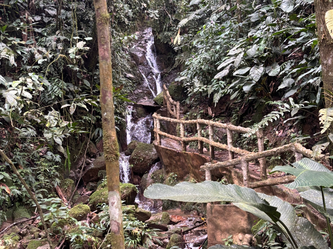 Eco Hotel Rio de Oro