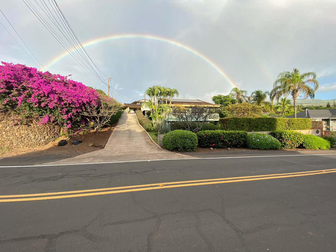 Dreams Come True on Maui Bed and Breakfast主图