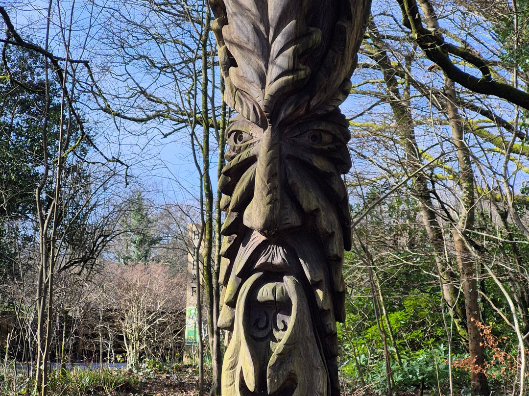Bryngarw Country Park景点图片