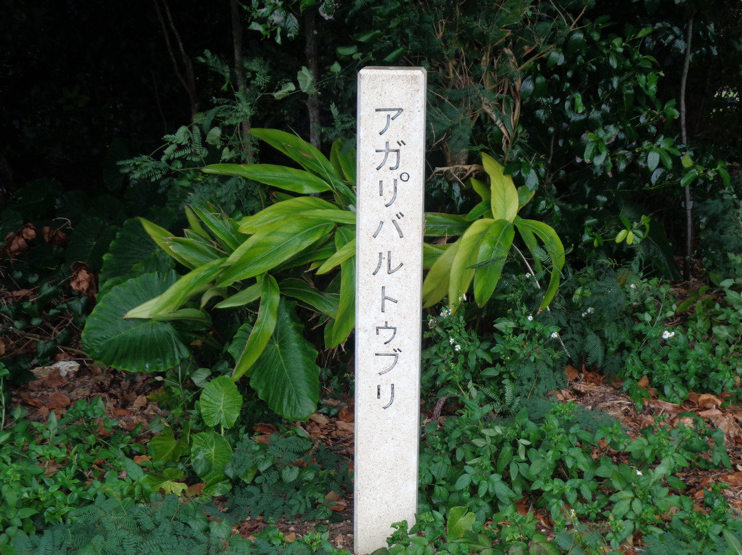 Agatha Baltuburi-多良间村必去景点