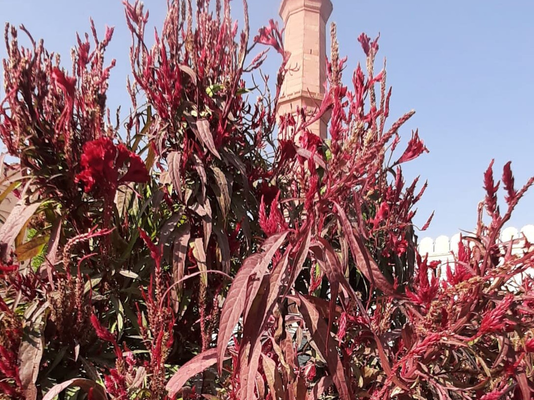 Lahore Fort-拉合尔必去景点