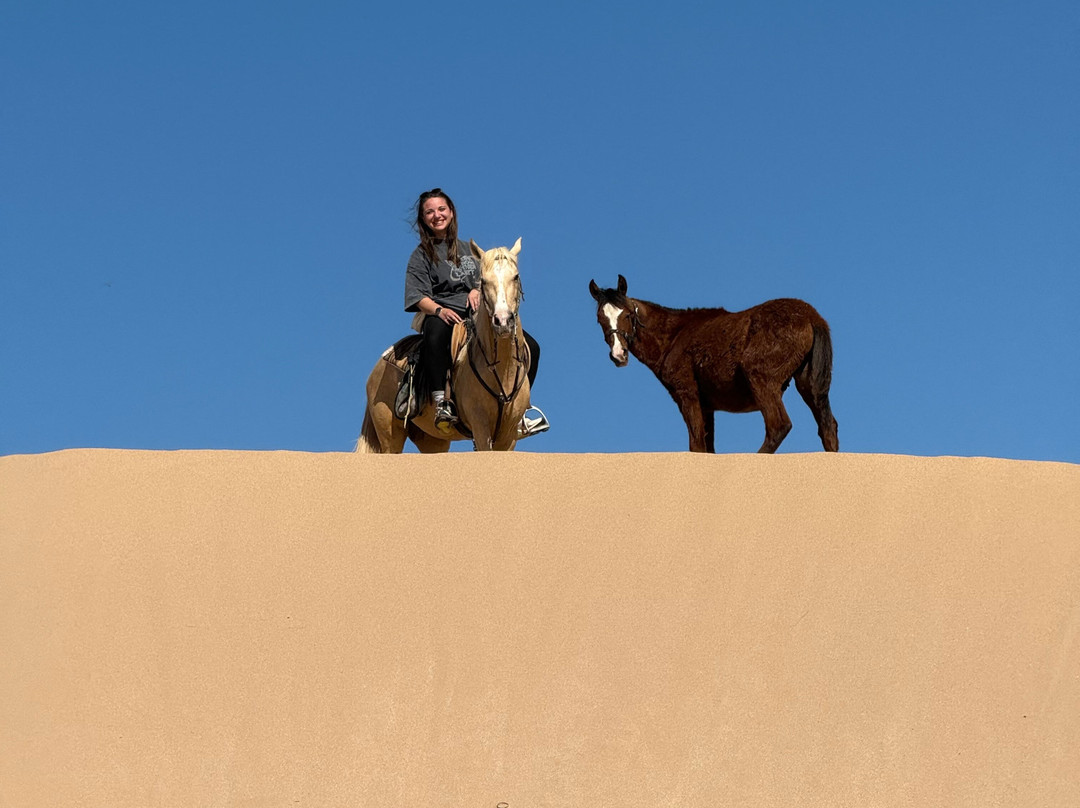Morocco Ocean Horses-Sidi Kaouki必去景点