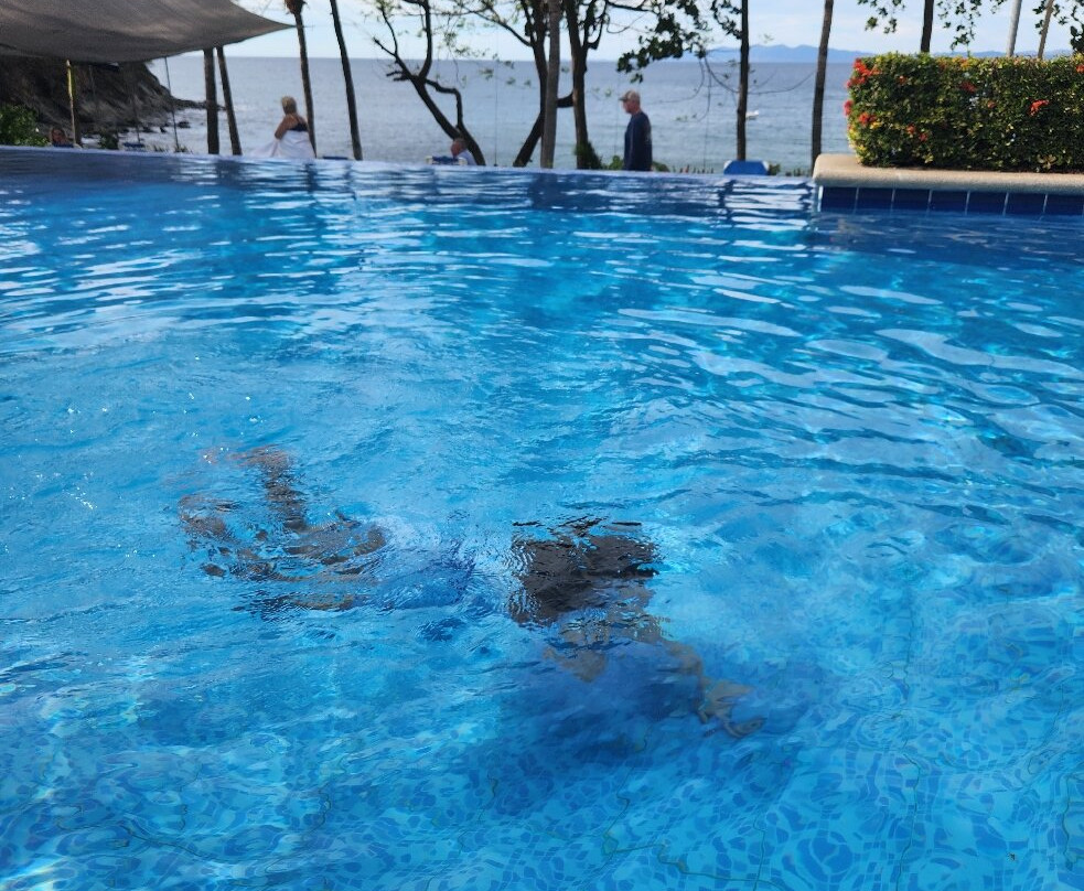 Bahia Pez Vela Resort主图