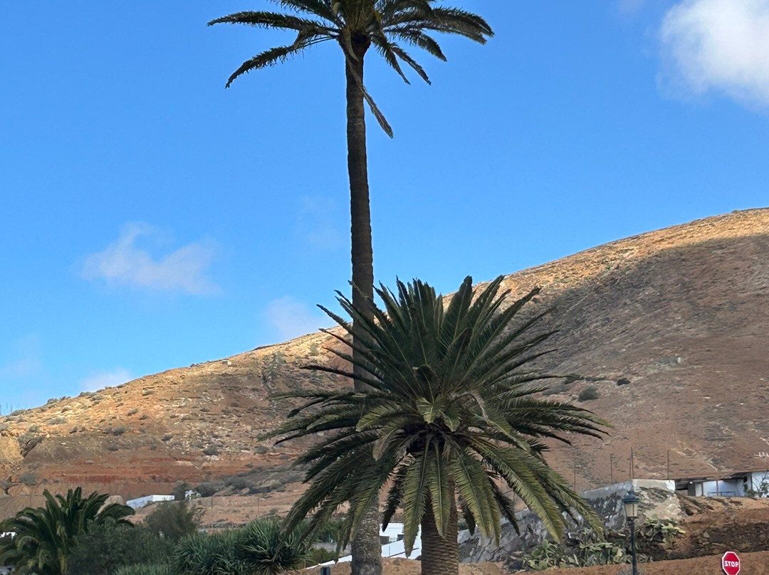 El Hotelito Del Cotillo主图