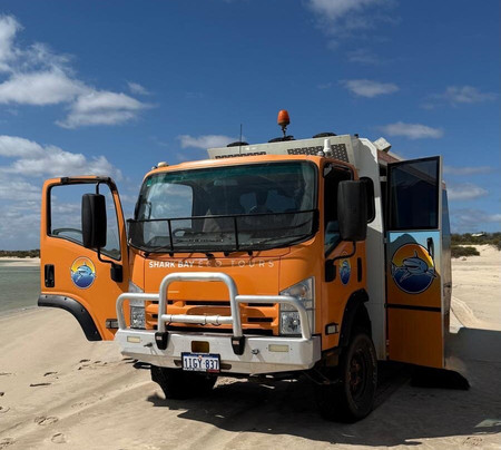 Shark Bay 4WD-德纳姆必去景点