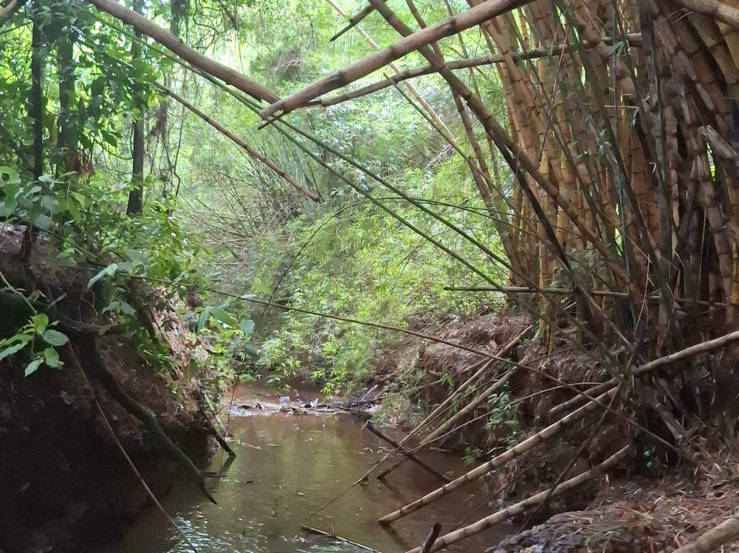 Fazenda Do Alho景点图片