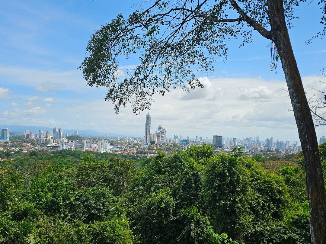 Metropolitan National Park景点图片