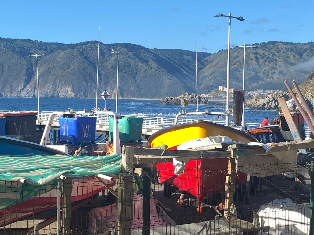 Playa Quintay-Quintay必去景点