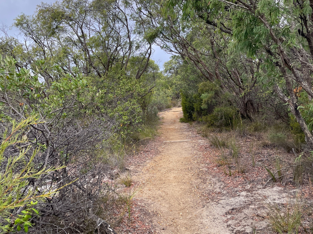 Two Peoples Bay Nature Reserve-奥尔巴尼必去景点