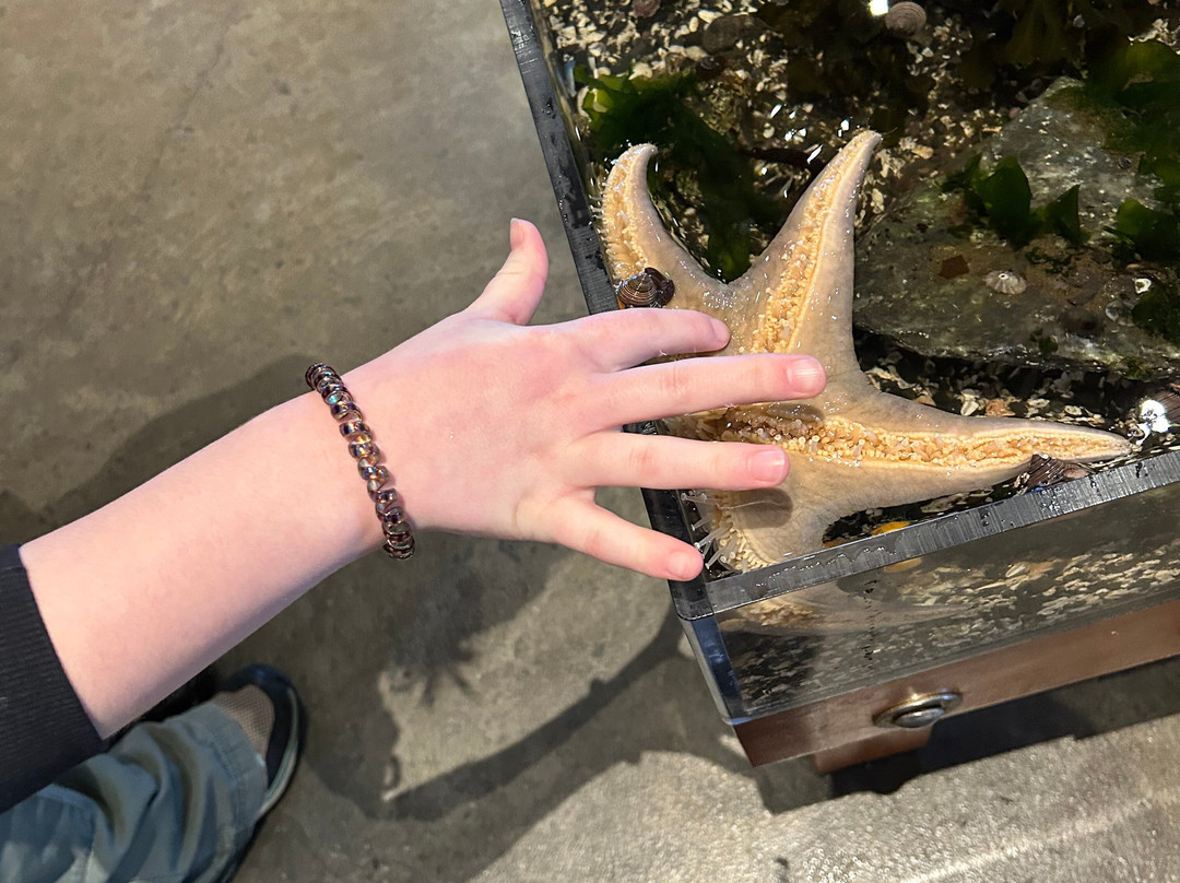 Ucluelet Aquarium景点图片