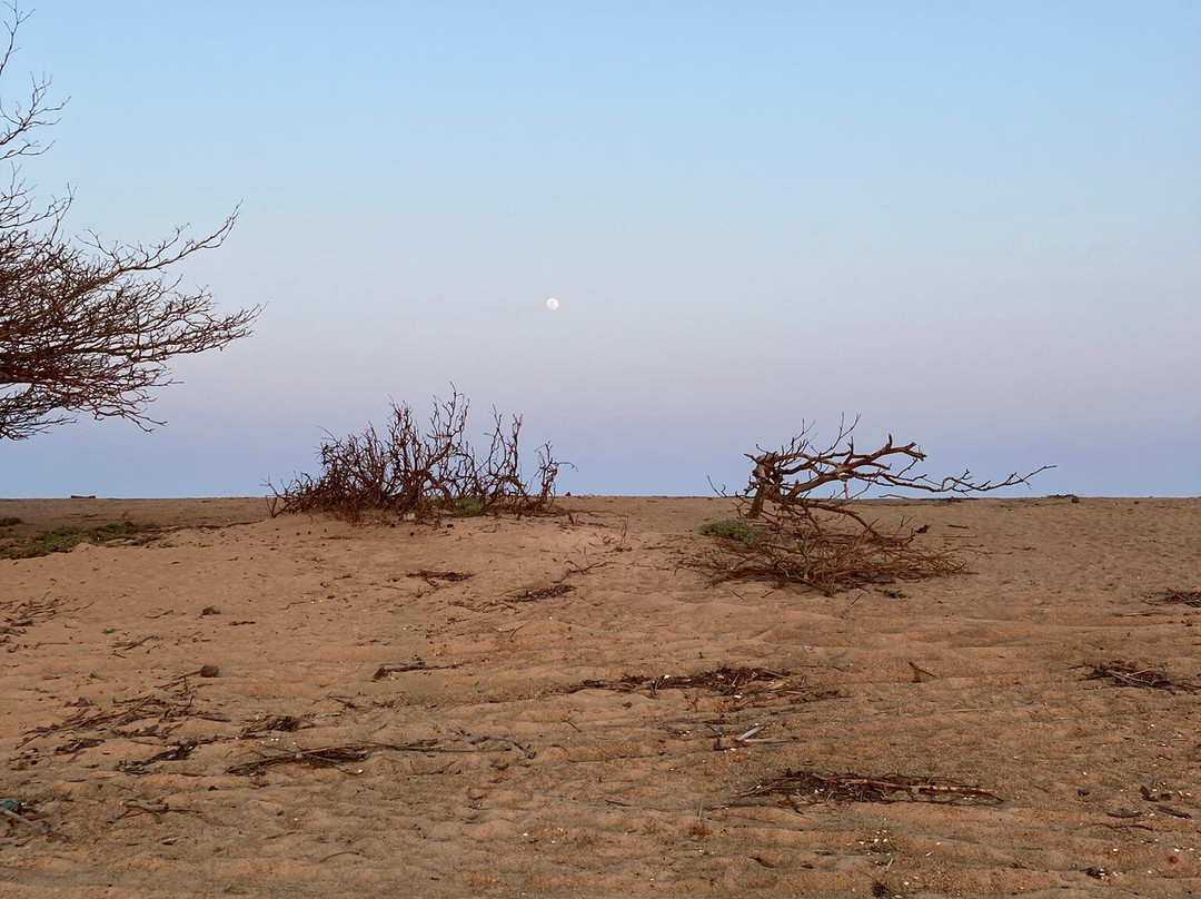 Praia Povoacao景点图片