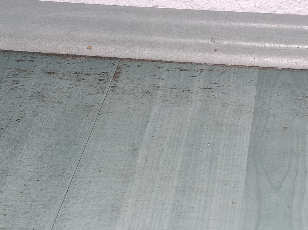 Hotel-Restaurant Schneider主图