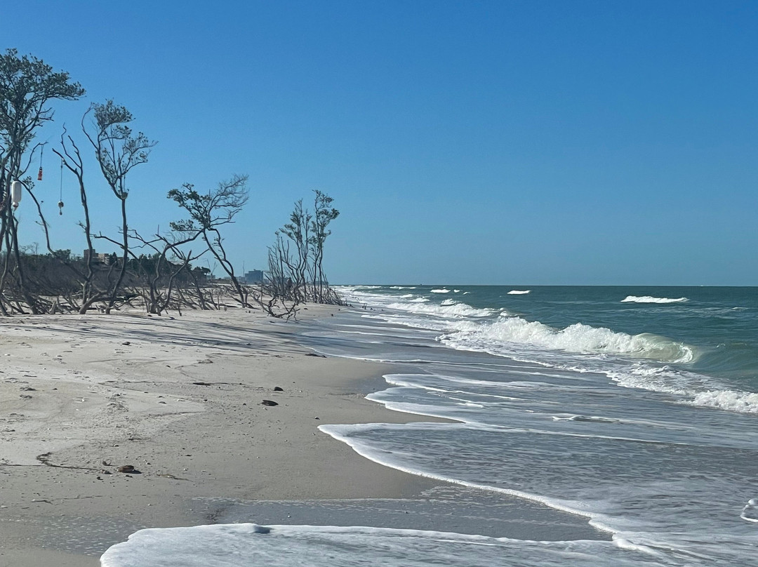 Paddle Out Adventures-克利尔沃特必去景点