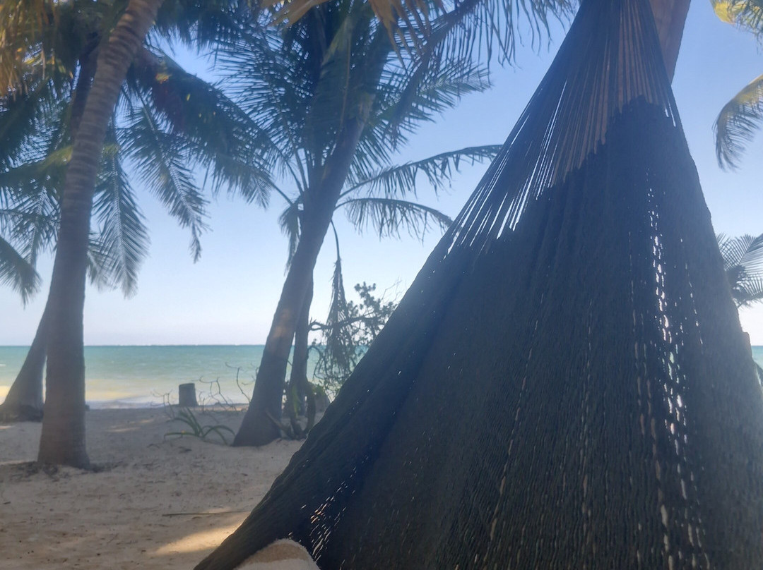 Hotel Cielo y Selva主图