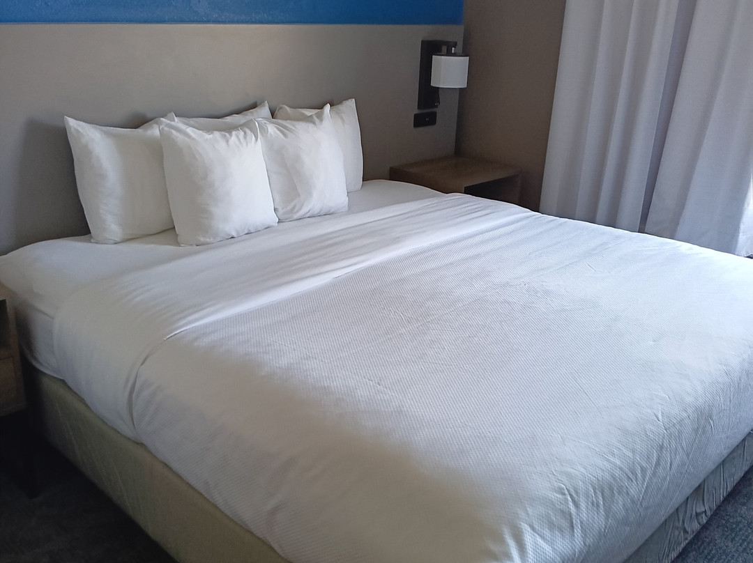 Comfort Suites Sarasota-Siesta Key主图