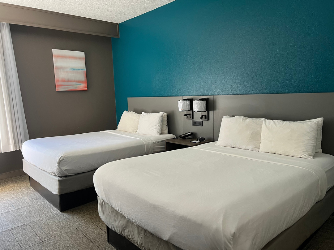 Comfort Inn Darien - North Brunswick主图