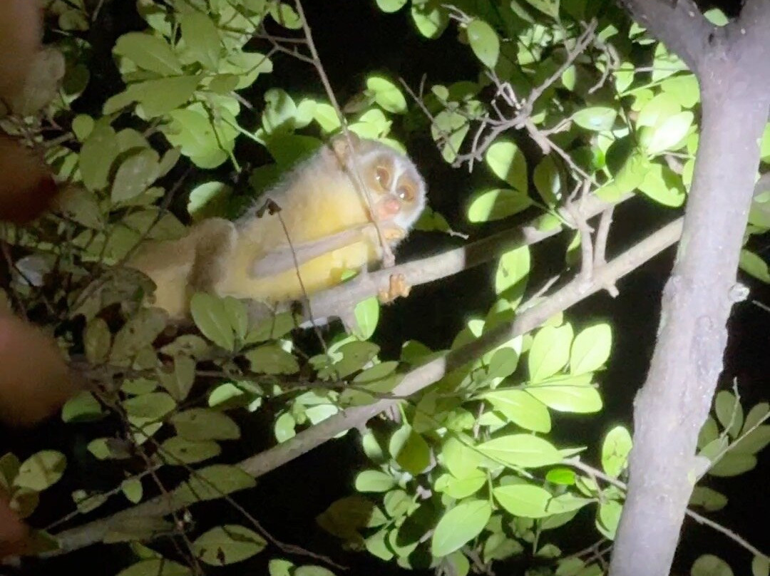 Sudath Safari and Tours Sri Lanka-锡吉里亚必去景点