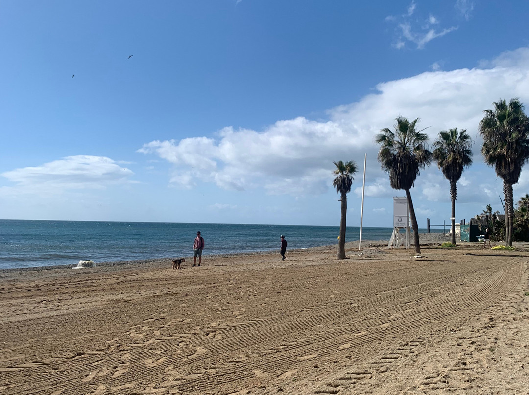 Playa del Duque-巴努斯港必去景点