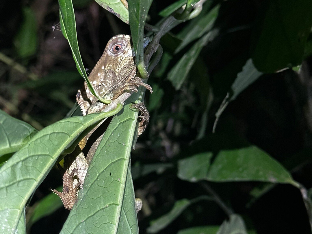 Sukia Travel-德雷克湾必去景点