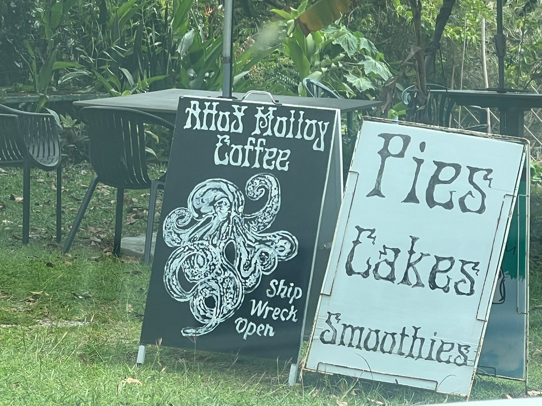 Ahoy Molloy Coffee Shop