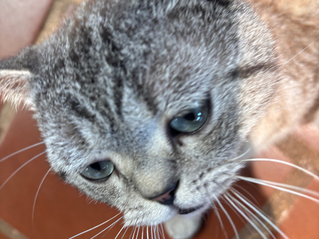 Midori Coffee Farm-Me Linh必去景点