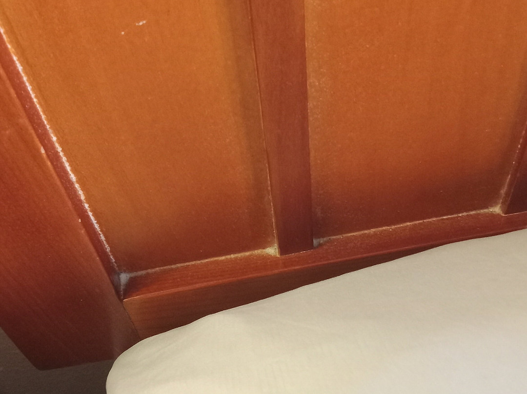 芝加哥奥克布鲁克逸林酒店主图