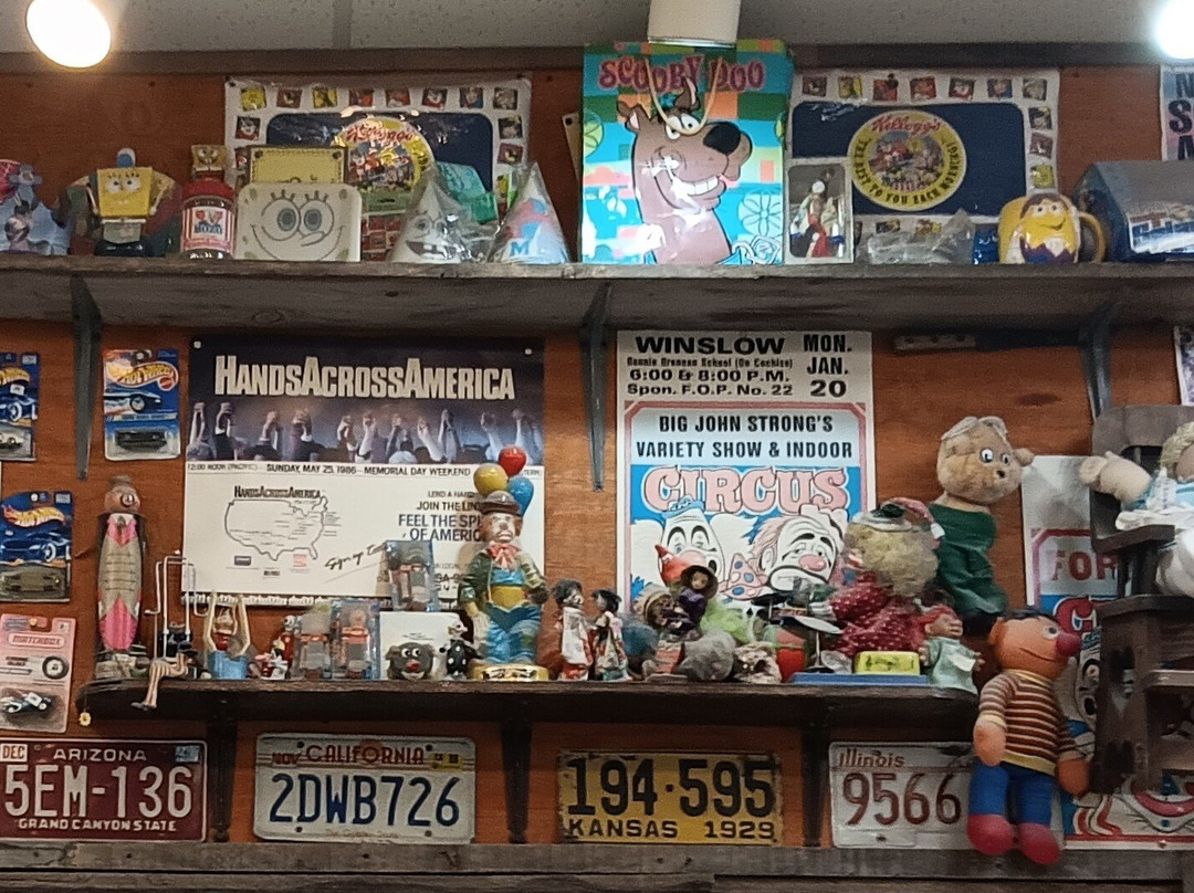 Jim Gray's Petrified Wood Co.-霍尔布鲁克必去景点