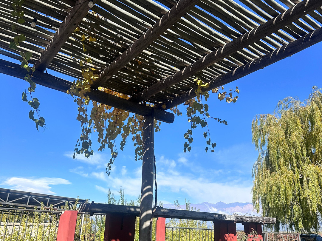 Zorzal Wines-Tupungato必去景点