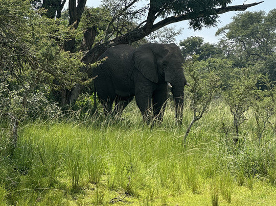 Water Buck Tours Rwanda-吉佳利必去景点