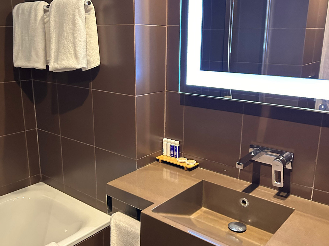 Hotel Novotel Moscow Sheremetyevo Airport主图