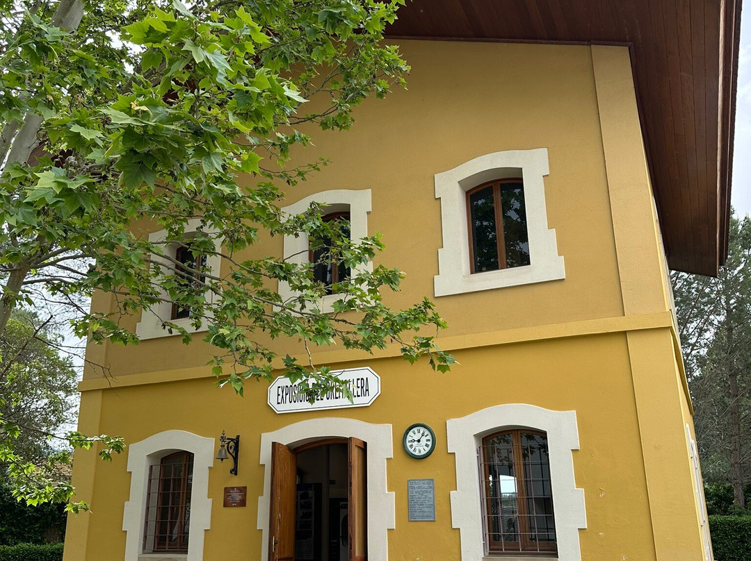 Museu Del Cremallera景点图片