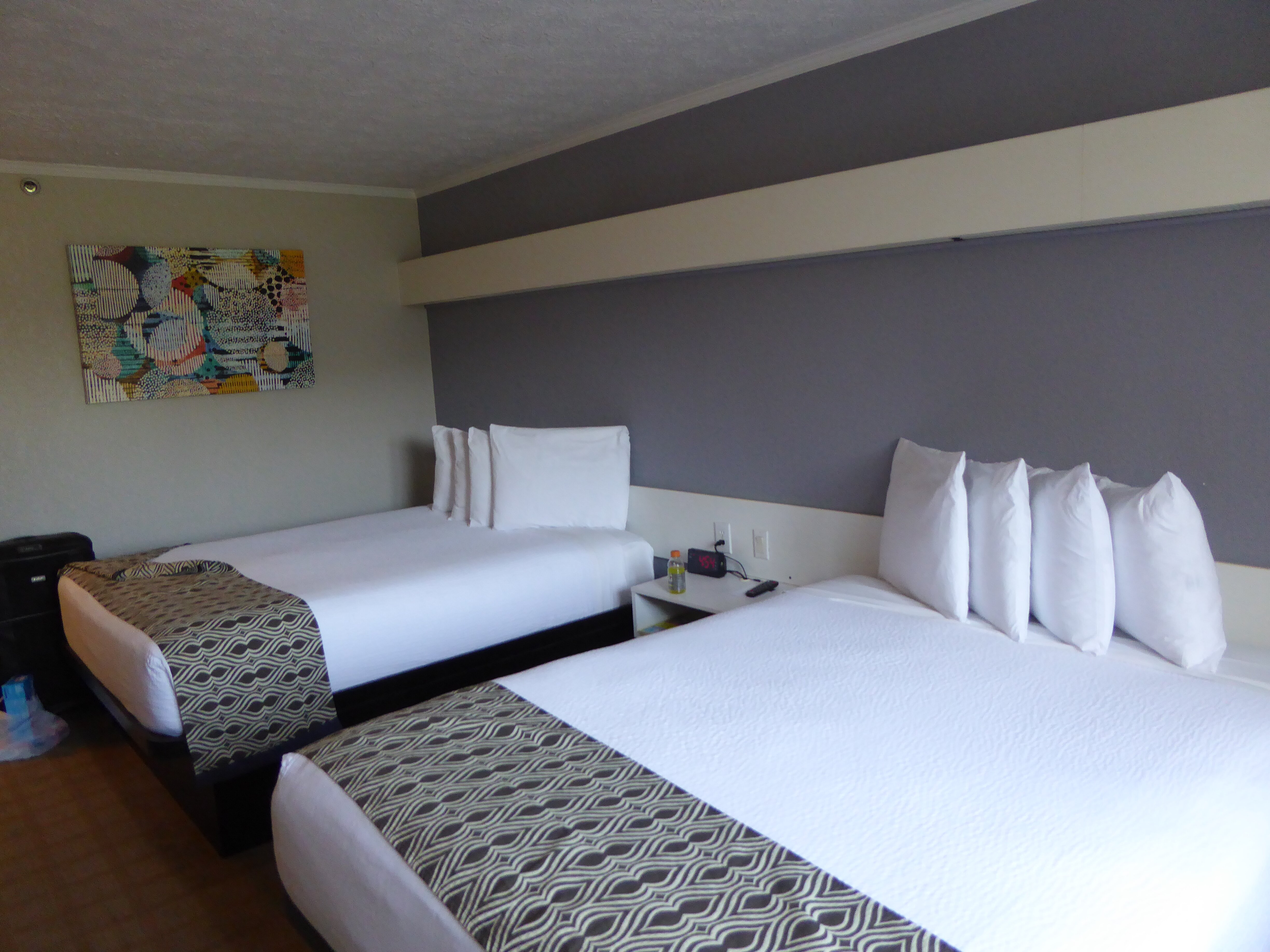 Microtel Inn & Suites by Wyndham Wilson-客卧