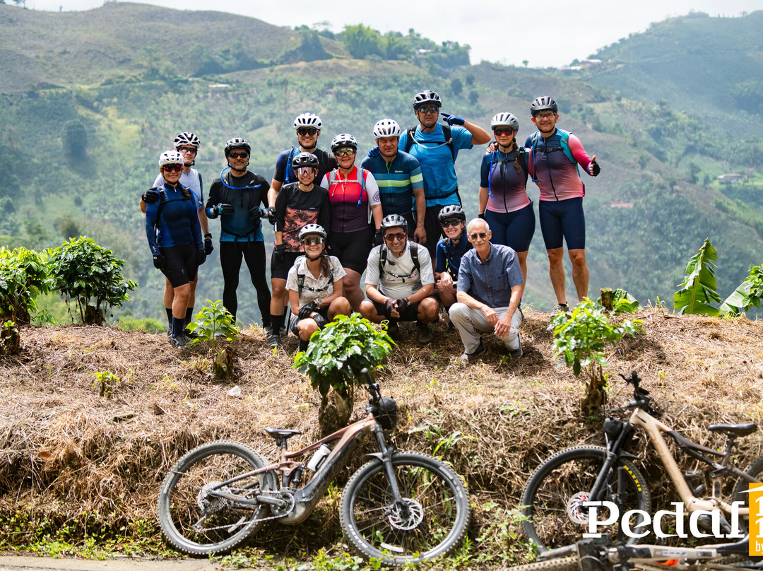 Pedal 1817 By Florida Bike Shop