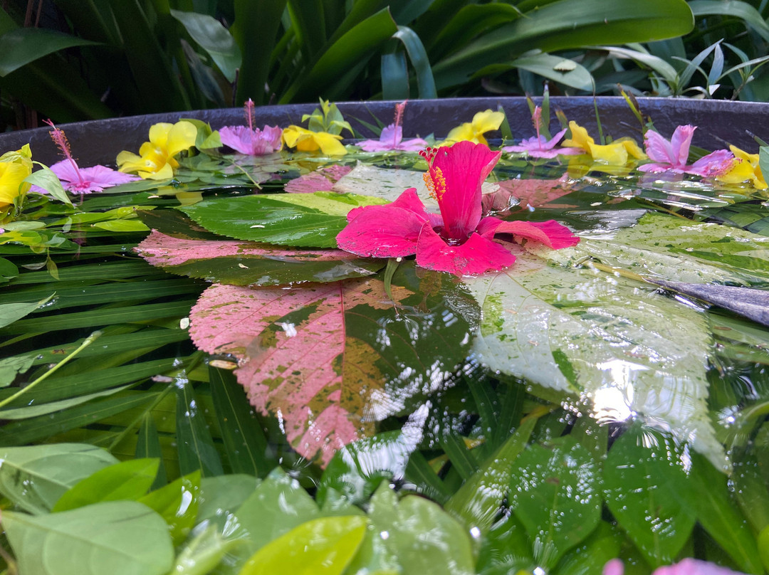 Maritim Tropical Flower Spa景点图片