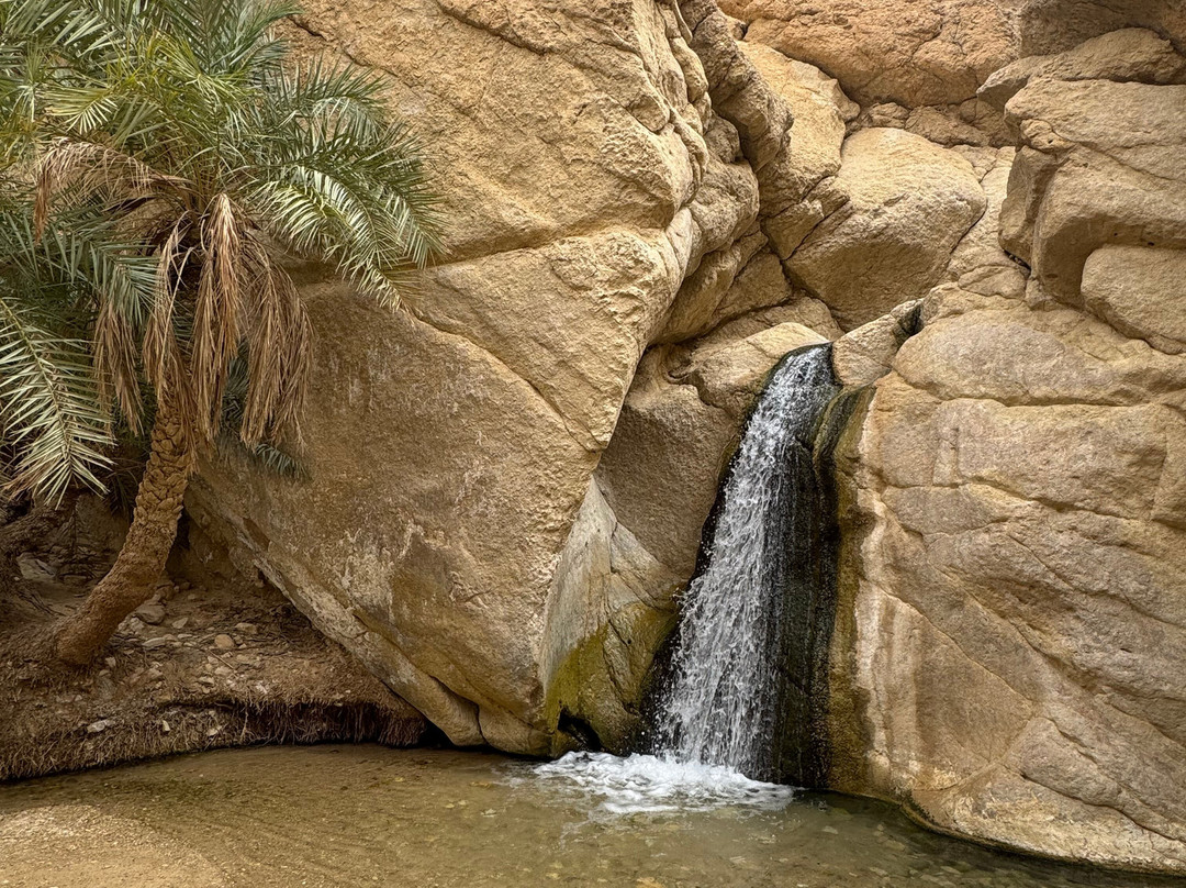 Kamel boukari licensed tour guide-突尼斯必去景点