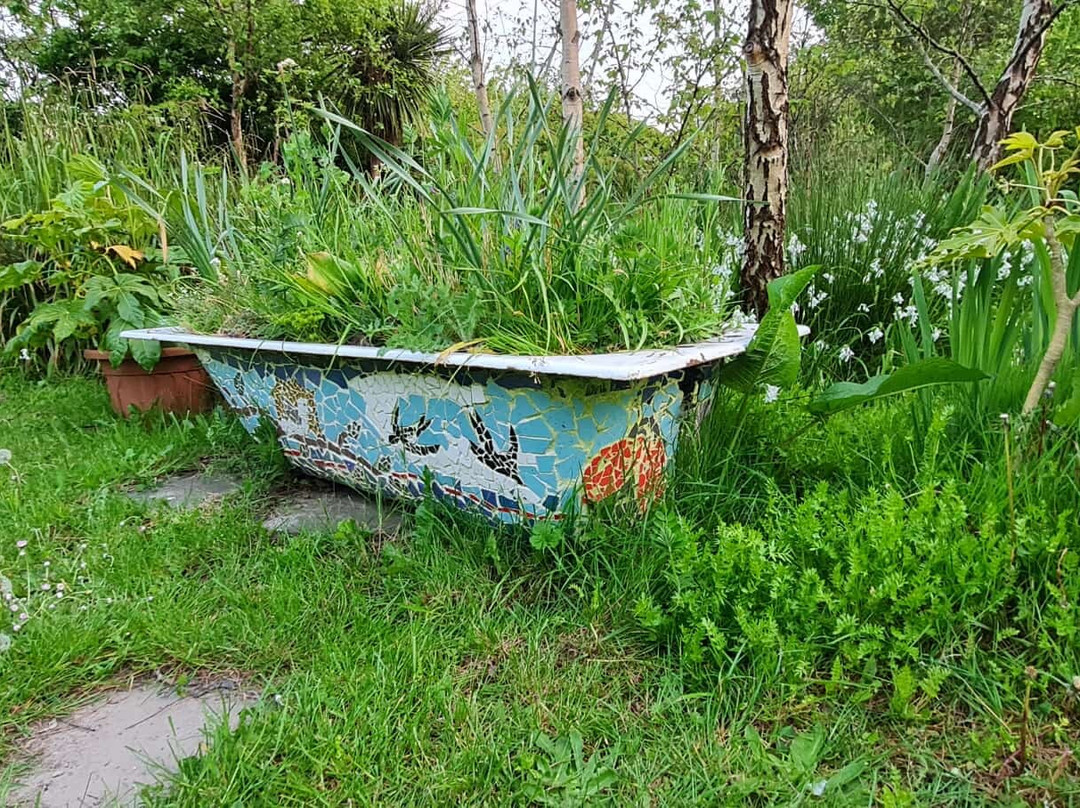 Kirwan's Garden-Rosslare Harbour必去景点