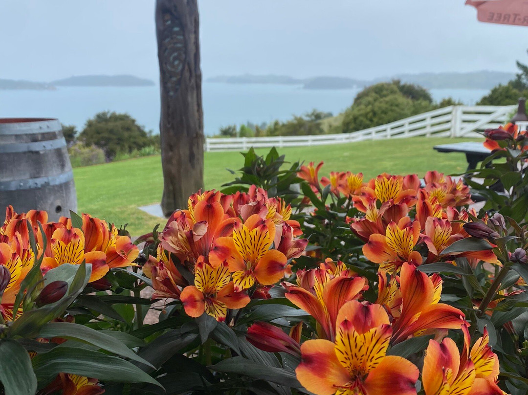 Waiheke Distilling Co景点图片