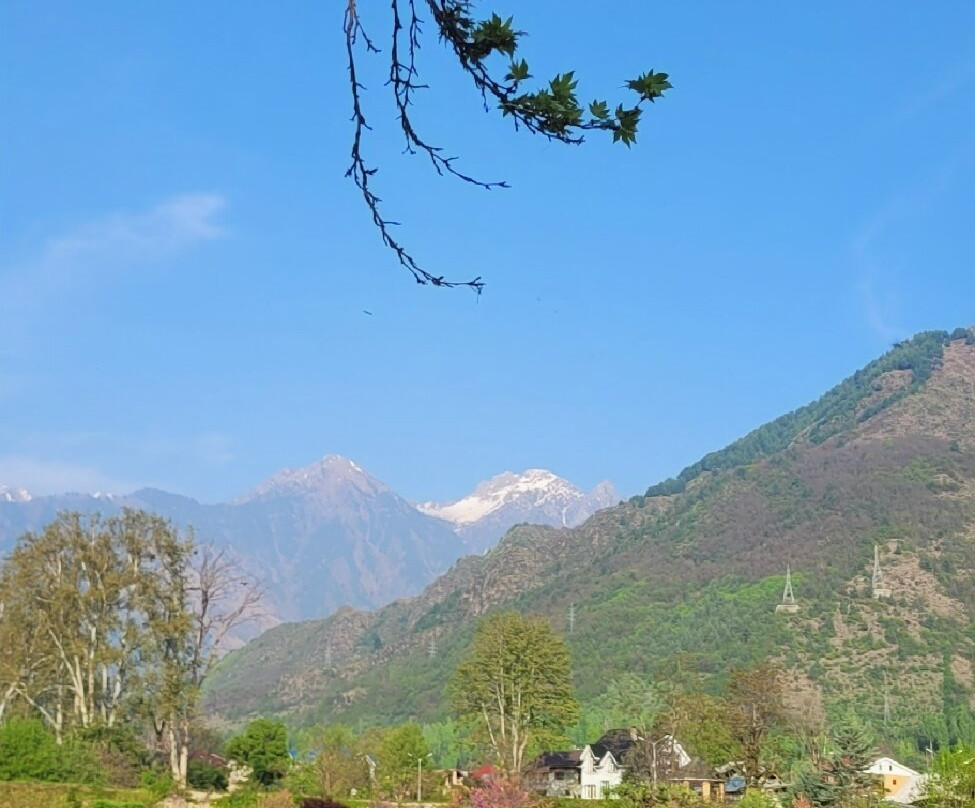 Mughal Gardens-斯利那加必去景点