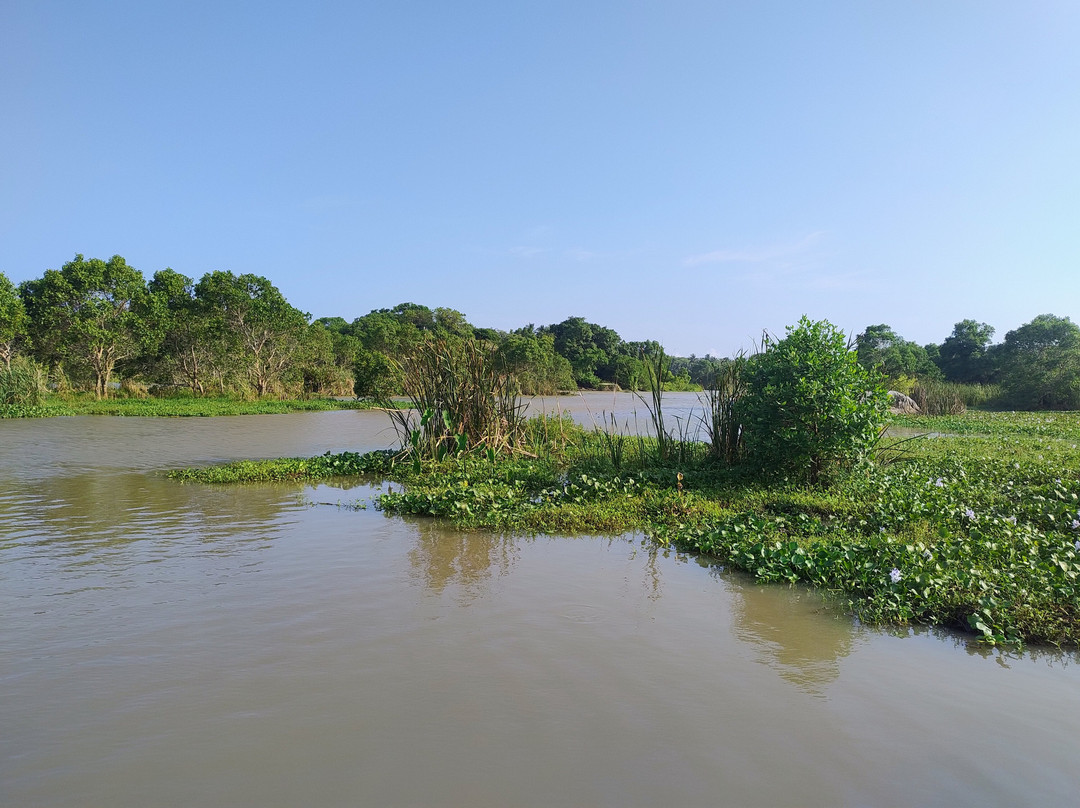 Kalametiya Lagoon Bird Sanctuary & Wetland Park景点图片