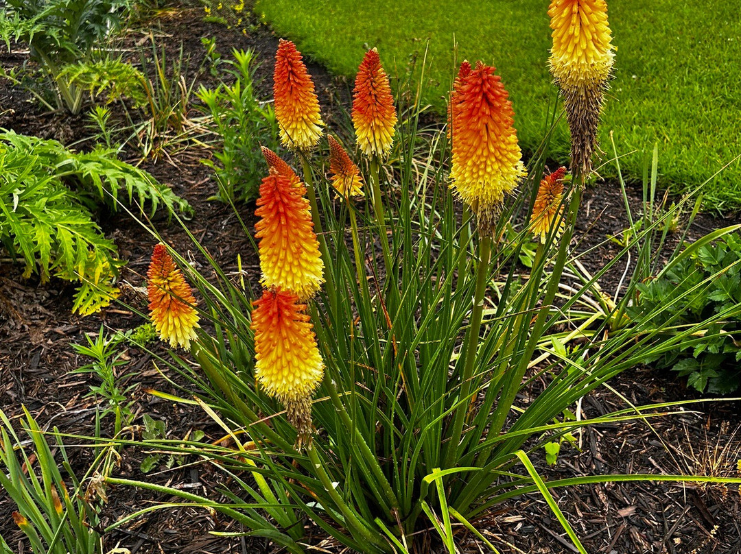 Dr. Ronald E. McNair Memorial Garden-Lake City必去景点