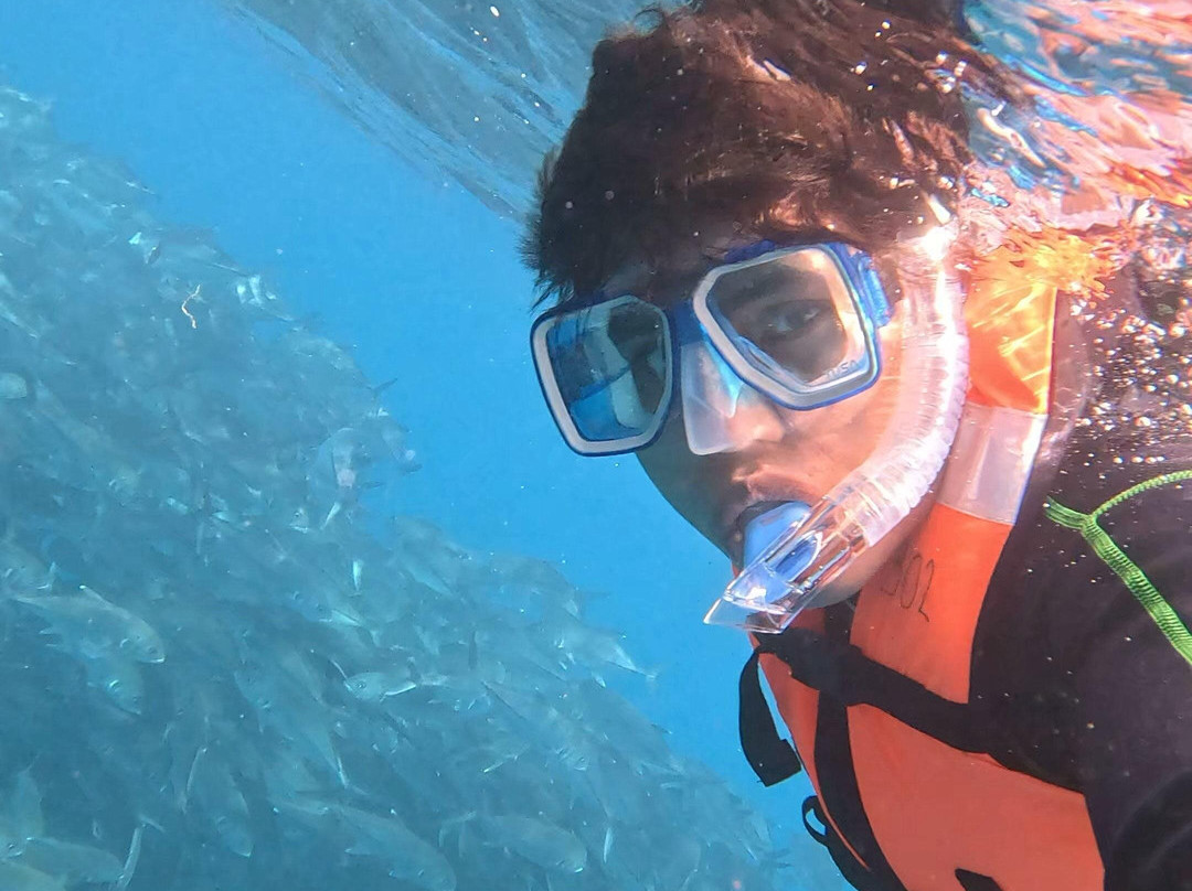 Cabo Pulmo Sport Center-Cabo Pulmo必去景点