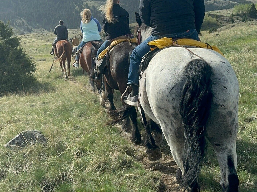 Rockin' HK Outfitters-Chico必去景点