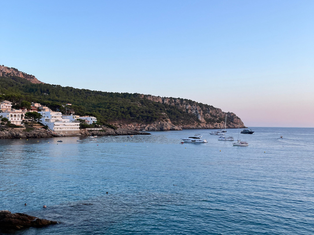 Hostal Dragonera主图