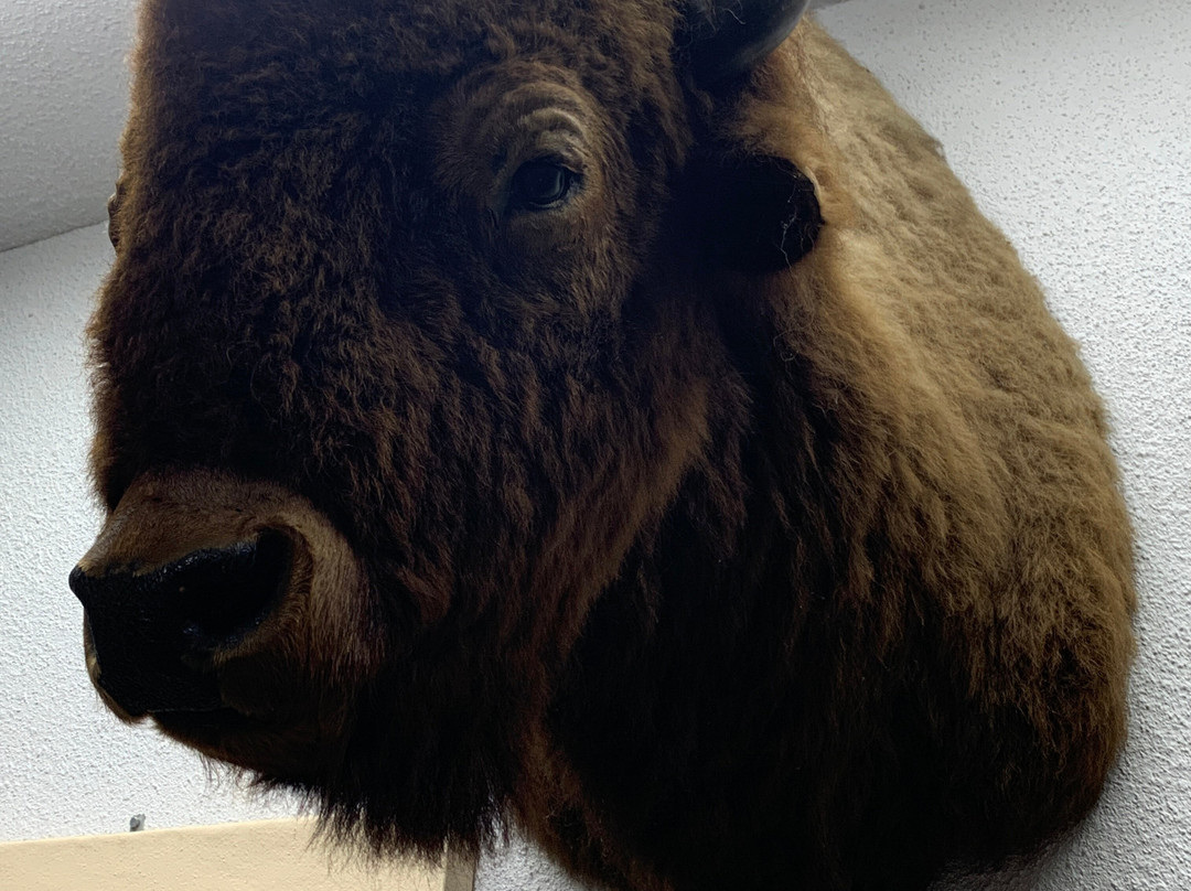 The Fort Museum & Frontier Village-Fort Dodge必去景点