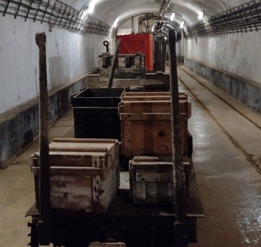 Ouvrage du Galgenberg - Ligne Maginot Secteur Fortifié du Bois de Cattenom-Cattenom必去景点