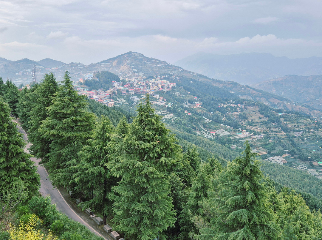 Taj Theog Resort & Spa主图