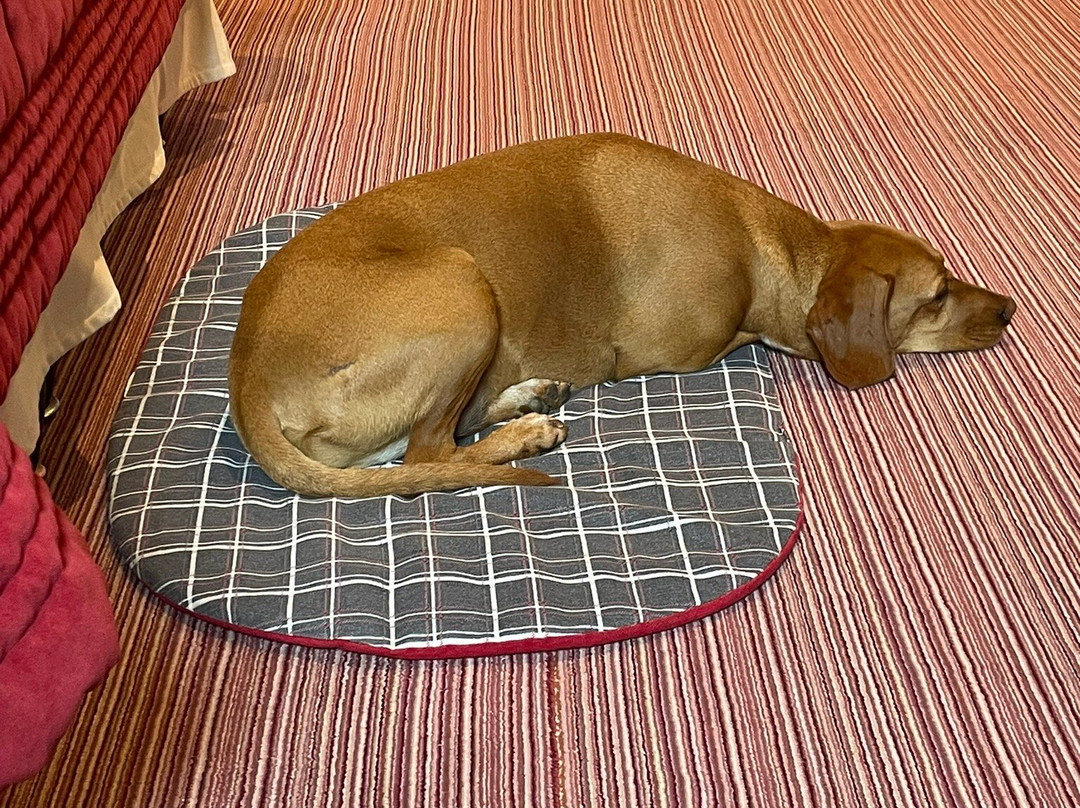 La Chapelle Saint Martin主图