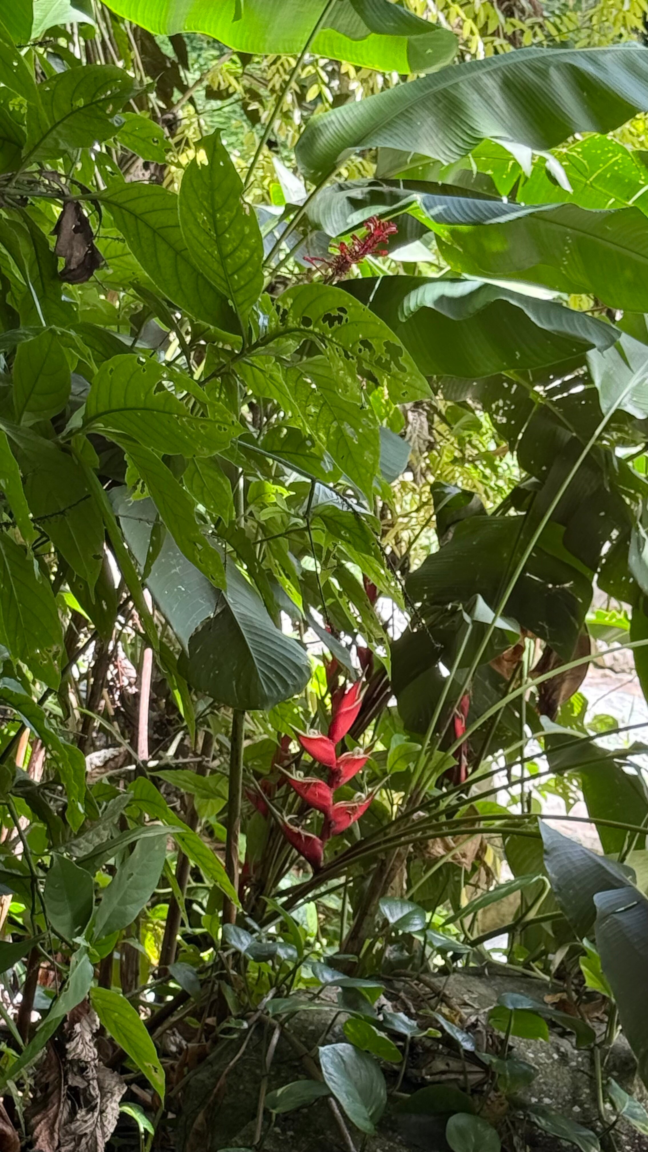 Casa Grande Mountain Retreat-官方