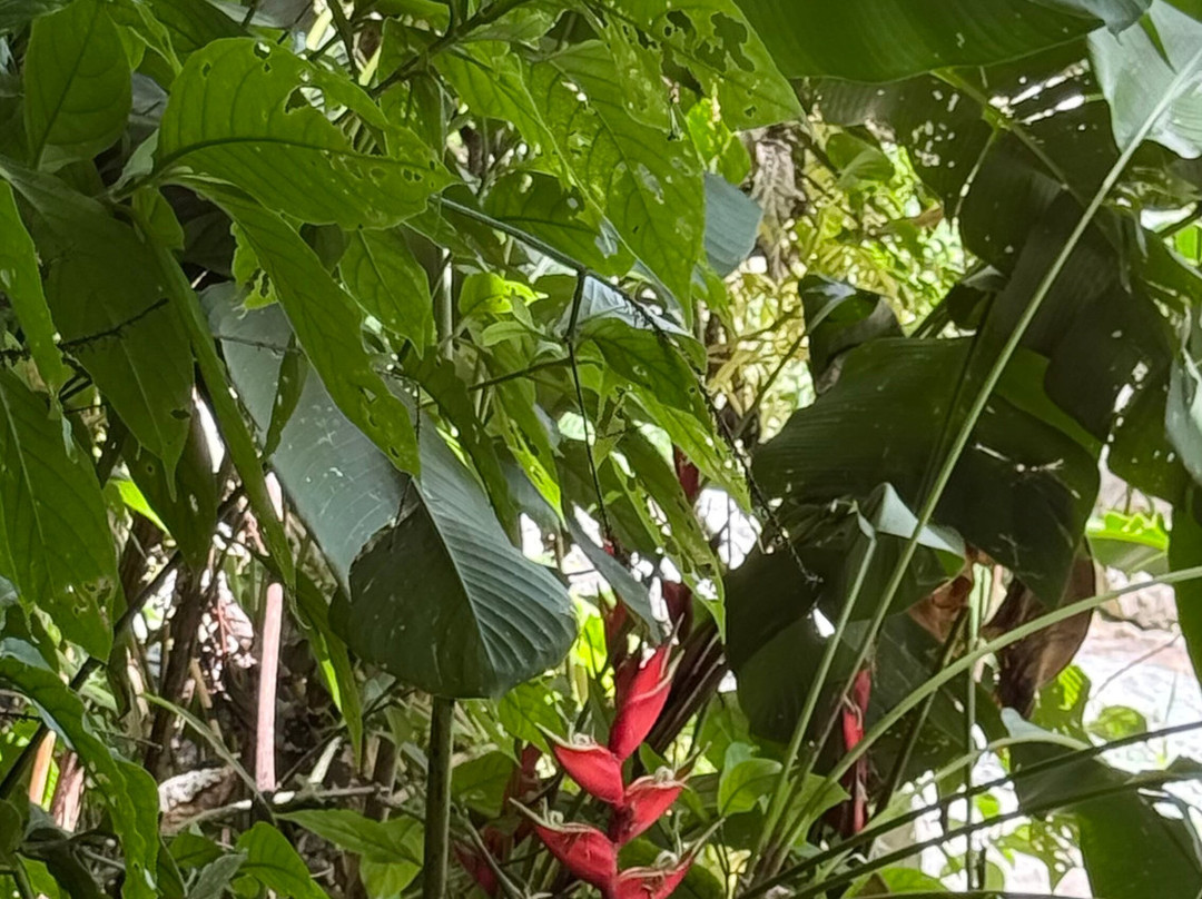 Casa Grande Mountain Retreat主图